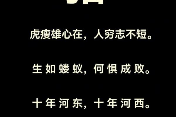虎背熊腰指什么生肖(虎背熊腰是什么生肖) 虎背熊腰指什么生肖(虎背熊腰是什么生肖)