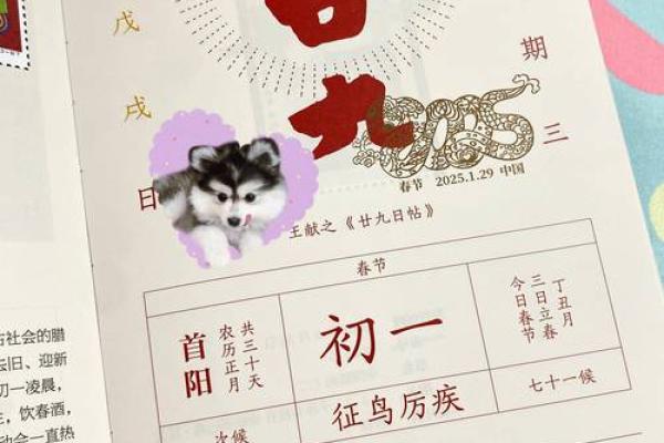 2025年适合新居乔迁日历(2025年适合新居乔迁日历吗) 2025年适合新居乔迁日历(2025年适合新居乔迁日历吗)