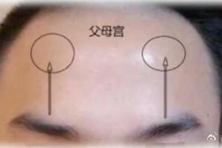 八座在父母宫_八座在父母宫代表什么