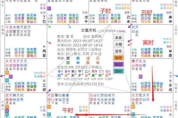 2025年3月28日子时女命紫微斗数全解盘