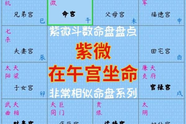 2025年3月14日寅时女命紫微斗数全解盘