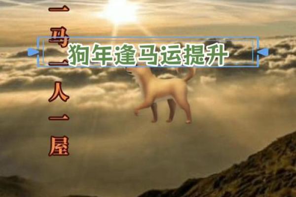 2021年属马狗人的全年运势_2021年属马狗人全年运势解析财运事业健康全预测 2021年属马狗人的全年运势_2021年属马狗人全年运势解析财运事业健康全预测