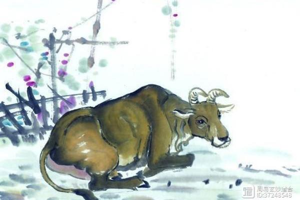 目光短浅的三大生肖 目光短浅的三大生肖