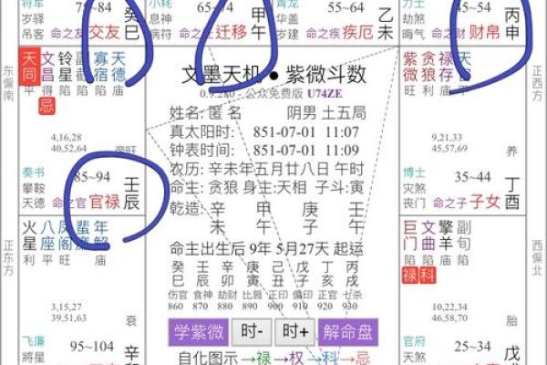父母宫化忌是什么意思_父母宫化忌解析命理中的家庭关系与运势影响