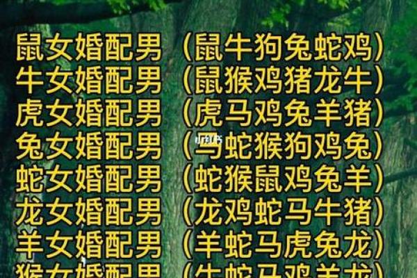 男鸡女狗属相相配吗_男鸡女狗属相相配吗揭秘生肖配对最佳组合 男鸡女狗属相相配吗_男鸡女狗属相相配吗揭秘生肖配对最佳组合