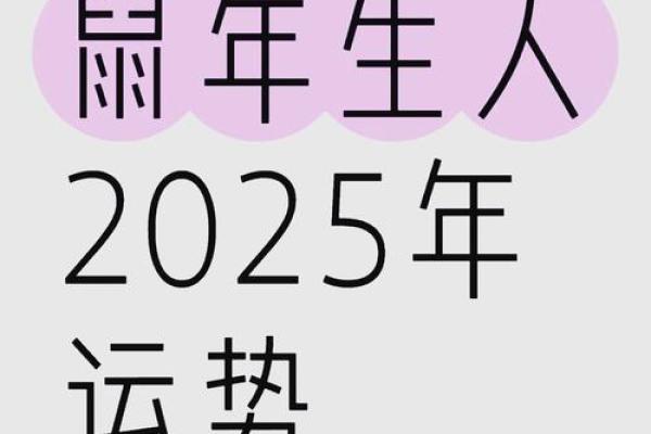 84属鼠人2025年全年运势运程