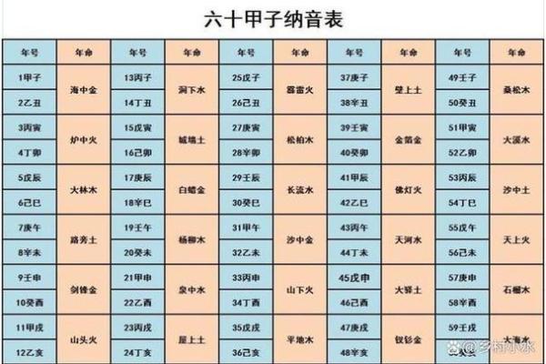 2023年是什么兔年五行属什么_2023年兔年五行属什么揭秘生肖与五行关系