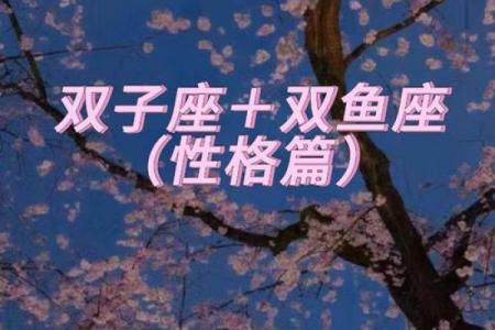 双子座和双鱼座合吗(双子座和双鱼座在一起合适吗)