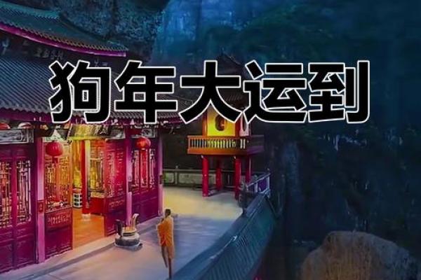 属狗今天的财运和运势 属狗今日财运与运势解析吉凶预测与提升技巧