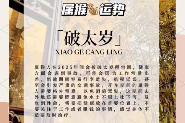 79年属羊男2025年的大难 79年属羊男2025年大难预警如何化解危机