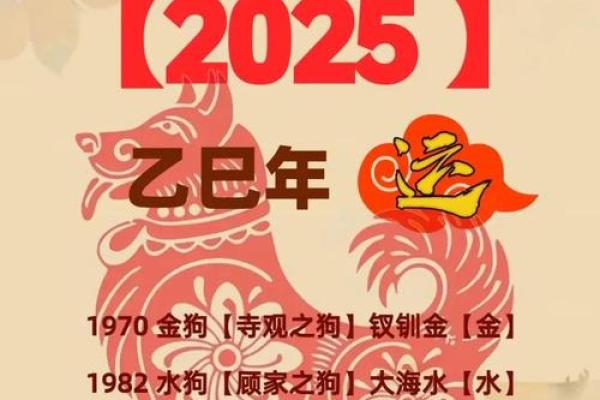 2025属狗最旺三种颜色 2025年属狗最旺的三种颜色助你运势飙升