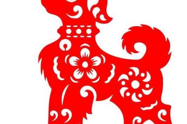 2025属狗最旺三种颜色 2025年属狗最旺的三种颜色助你运势飙升