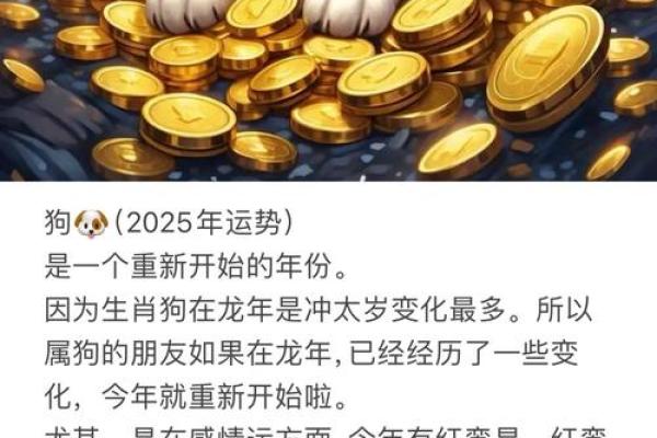 2025年属狗幸运色揭秘提升运势的最佳颜色选择