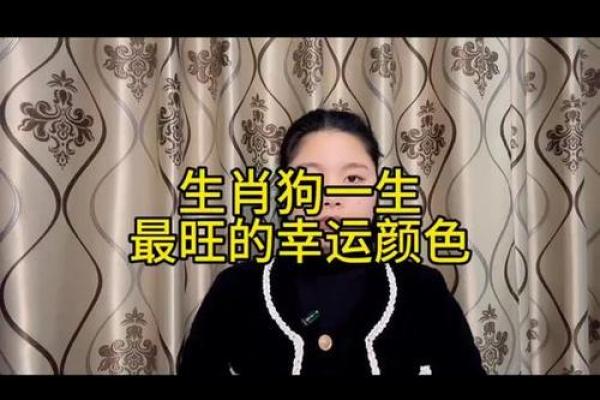 2025年属狗幸运色揭秘提升运势的最佳颜色选择