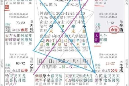 2025年4月15日酉时男命紫微斗数全解盘