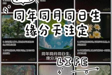 特别的缘分_特别的缘分遇见你是我最美的意外