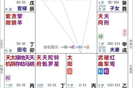 2025年4月4日辰时男命紫微斗数全解盘