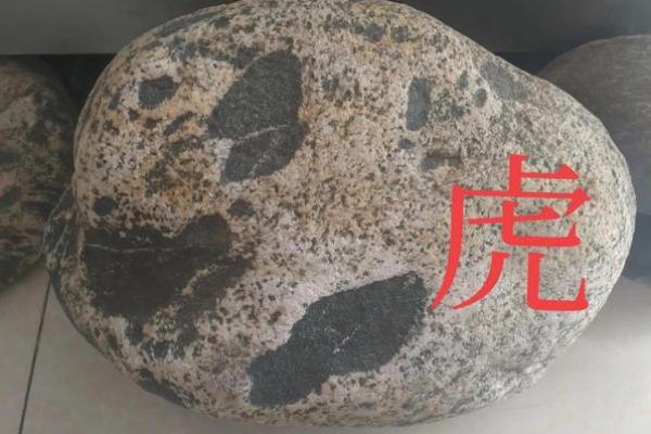 “劈天盖地”打一正确的生肖，劈天盖地打一动物答案解释释义落实