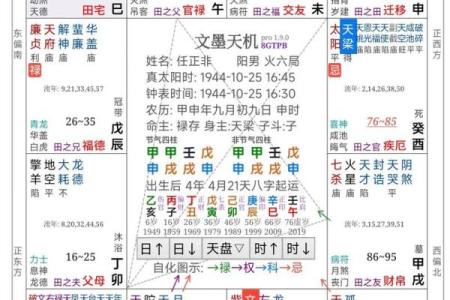 2025年4月15日亥时男命紫微斗数全解盘