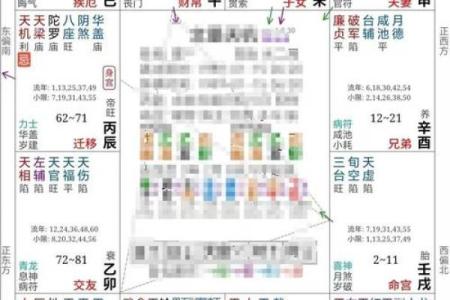 2025年4月17日丑时男命紫微斗数全解盘