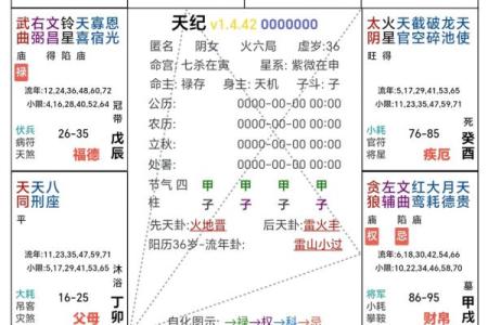 2025年4月11日戌时男命紫微斗数全解盘