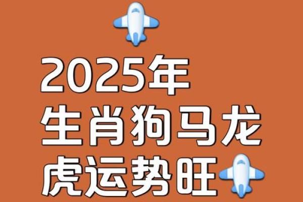 2025年属狗的运势及运程_2025年属狗运势详解全年运程及注意事项