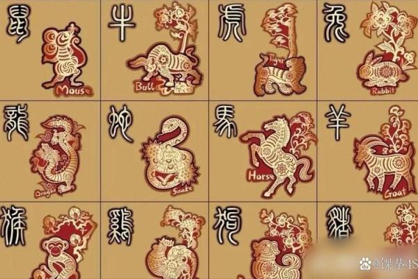 一步登天是什么动物生肖 一步登天是什么动物生肖