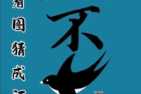 无法无天的动物猜一生肖 无法无天的动物猜一生肖