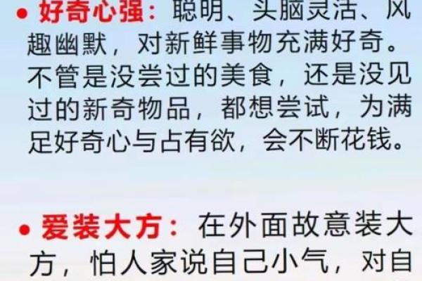“人财两失”打一个生肖动物，人财两失什么生肖答案解释释义落实