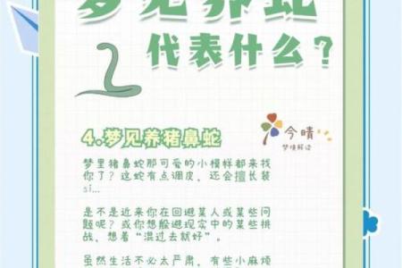 老梦见蛇是怎么回事