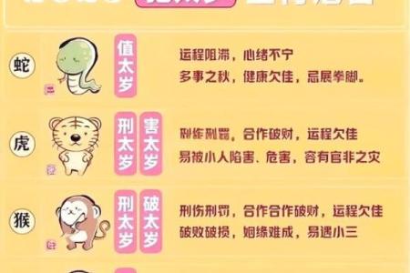 怎么来给属猴巳时出生的男孩取个好名字姓名