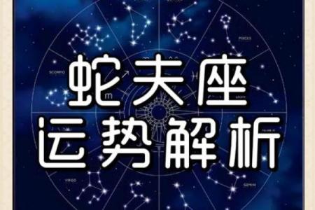 11月17日是什么星座