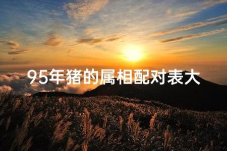 2025年属猪的几月结婚最佳 95年属猪的最佳配偶