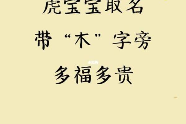晚上出生的属虎男孩应该如何起名，宜用什么字姓名
