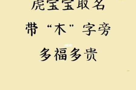晚上出生的属虎男孩应该如何起名，宜用什么字姓名