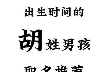 2019年出生的姓胡男孩如何起名，宜用什么字姓名