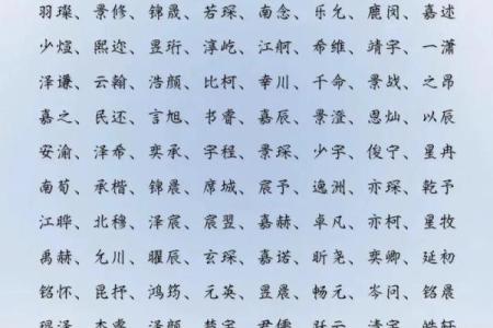 2019年6月11号子时出生的男孩如何起名姓名