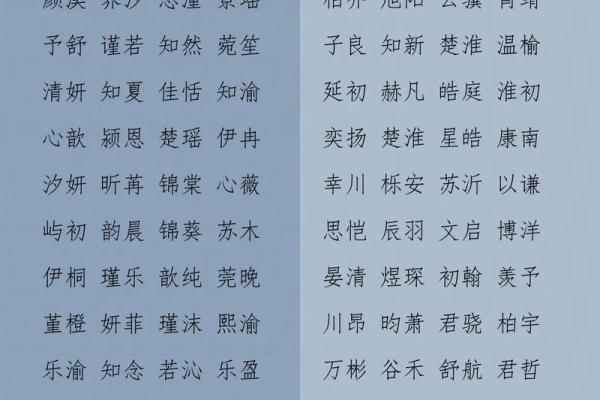 2019年6月11号寅时出生的男孩起名方法姓名