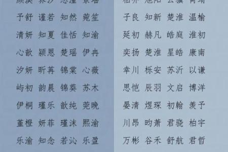 2019年6月11号寅时出生的男孩起名方法姓名