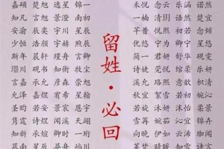 凌晨2点出生的属牛男孩应该用什么字取名字好姓名