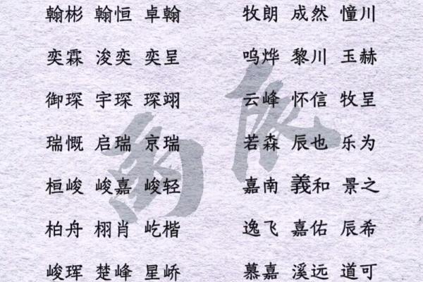 2019年6月28号子时出生的男孩如何起名姓名