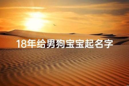 五月份出生的属狗男孩应该如何取名字姓名