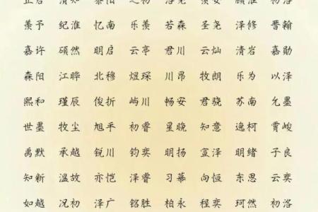 2019年6月28号子时出生的男孩如何起名姓名