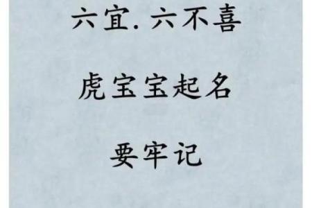 晚上8点出生的属虎男孩如何起名，宜用什么字姓名