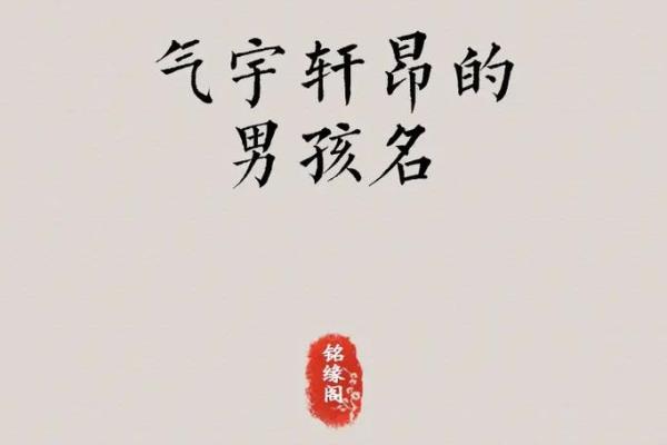 凌晨3点出生的属鼠男孩起什么名字合适姓名