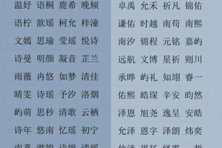 凌晨3点出生的属鼠男孩起什么名字合适姓名