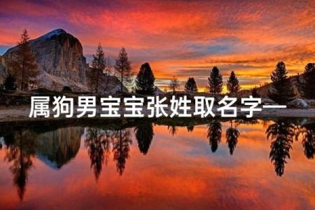 早上出生的属狗男孩怎么取名 ，宜用什么字姓名