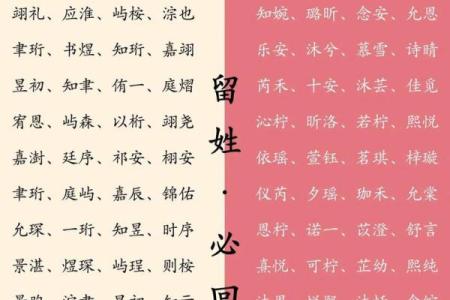 3月份出生的属猪男孩起什么名字好姓名