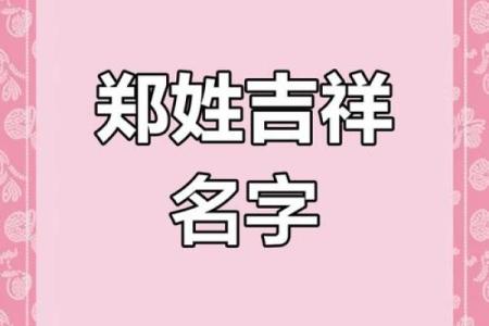 郑姓男孩名字大全-郑姓男孩起名字大全-郑姓名字大全姓名