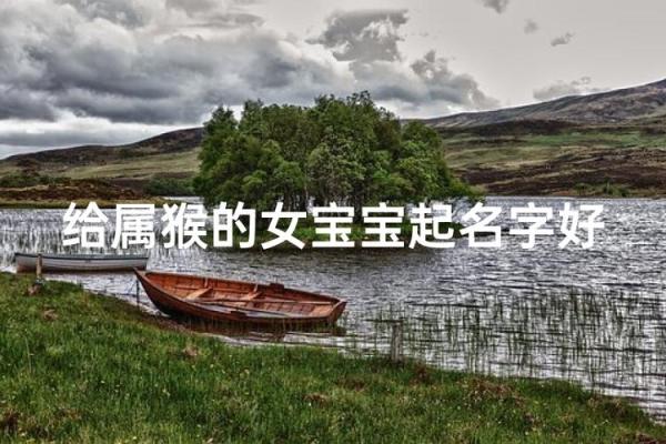 上午出生的属猴男孩起什么名,适合什么字姓名 上午出生的属猴男孩起什么名,适合什么字姓名